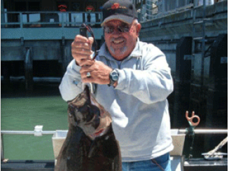 Halibut and Striped Bass gallery, Image 2