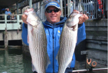 Halibut and Striped Bass gallery, Image 4